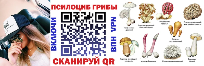 ОМГ ОМГ ССЫЛКА  Вельск  Галлюциногенные грибы мицелий 